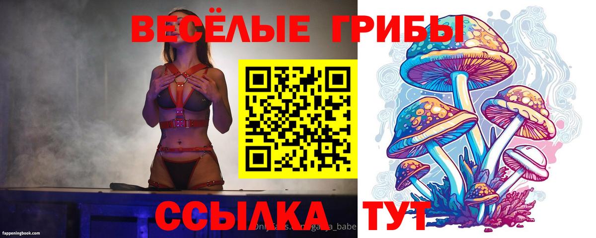 Бошки Шишки  LSD-25  АМФ кристаллы  Меф МЯУ МЯУ кристаллы  МАРИХУАНА  Вход с VPN  Лениногорск  ГАШИШ  Вейп ТГК  COCAIN 